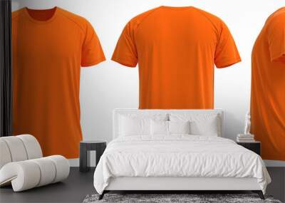 Raglan Short sleeve T-shirt  [ Solid ORANGE ] Wall mural